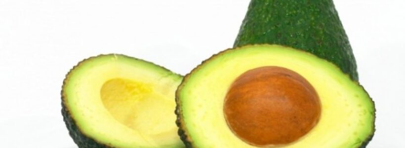 Aguacate-_comer_semilla