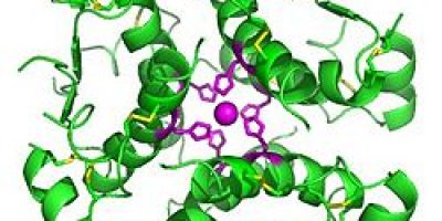 Hexamer