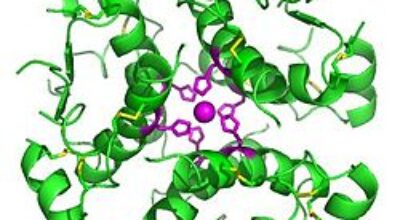 Hexamer