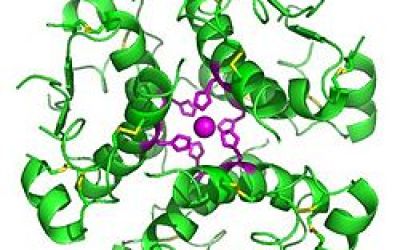 Hexamer