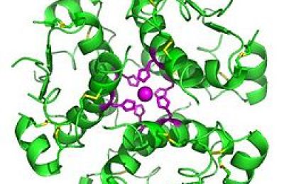 Hexamer