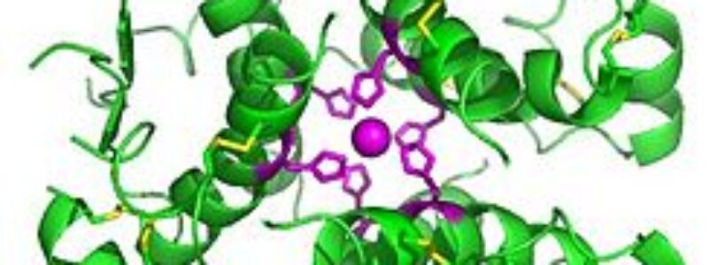 Hexamer