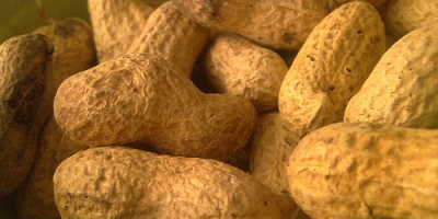 alimentos3