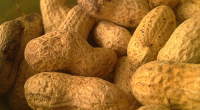 alimentos3