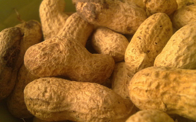 alimentos3