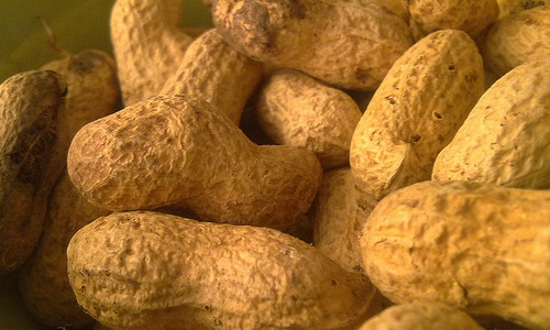 alimentos3