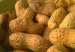 alimentos3