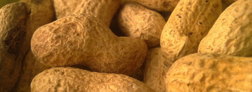 alimentos3