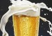 cervezahbdcgchd