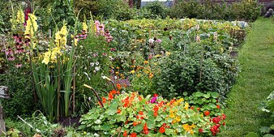 130507211326_plants_people_464x261_bbc