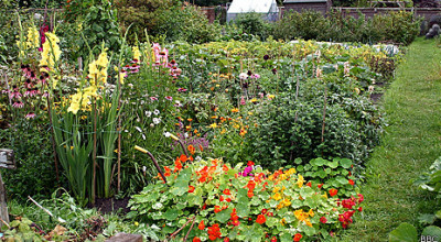 130507211326_plants_people_464x261_bbc
