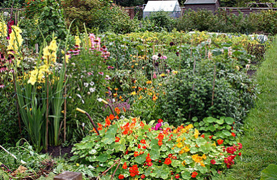 130507211326_plants_people_464x261_bbc