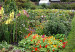 130507211326_plants_people_464x261_bbc