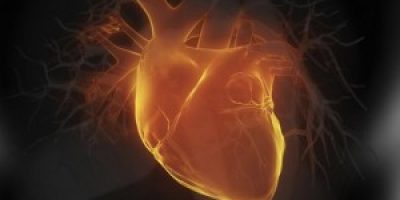 Rejuvenecer-el-corazn-ahora-es-una-realidad-300x168