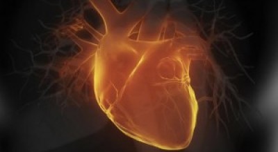 Rejuvenecer-el-corazn-ahora-es-una-realidad-300x168