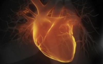 Rejuvenecer-el-corazn-ahora-es-una-realidad-300x168
