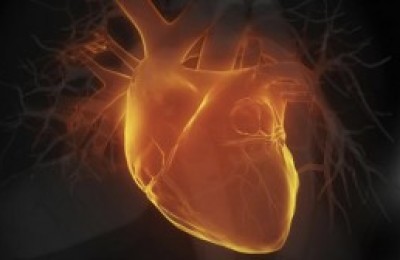 Rejuvenecer-el-corazn-ahora-es-una-realidad-300x168
