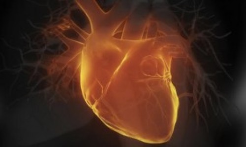 Rejuvenecer-el-corazn-ahora-es-una-realidad-300x168