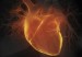 Rejuvenecer-el-corazn-ahora-es-una-realidad-300x168