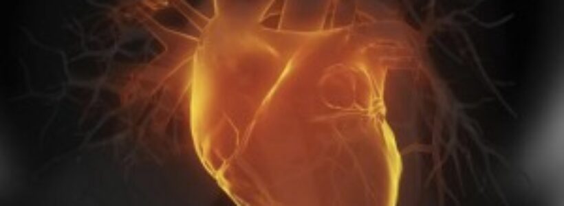 Rejuvenecer-el-corazn-ahora-es-una-realidad-300x168