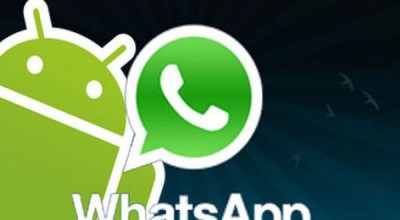 WhatsApp-distingue-usuarios-Apple-plataformas_TINIMA20130307_0225_5