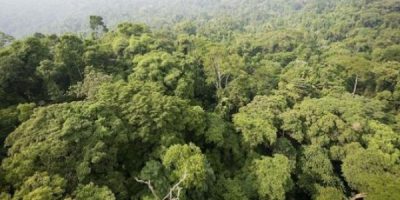 amazonas--644x362