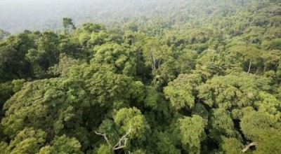 amazonas--644x362