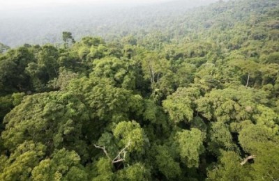 amazonas--644x362