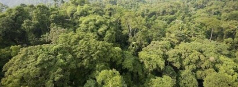 amazonas--644x362