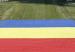 banderamasgrandedelmundo