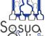 logo_sosuaonline