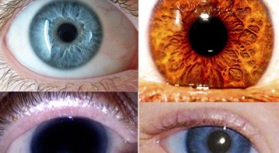 ojos2jhbjkhgh