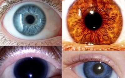 ojos2jhbjkhgh