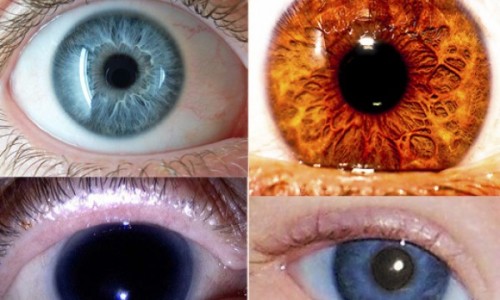 ojos2jhbjkhgh