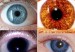 ojos2jhbjkhgh