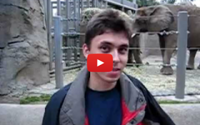 primer_video