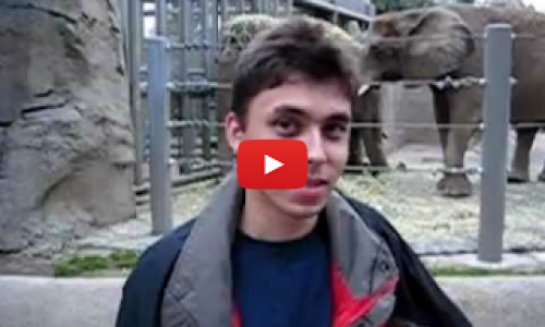 primer_video