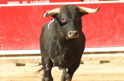 01toro469857543