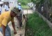 0_a_contenes_cangrejos1_210_120