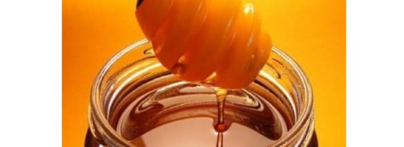 Miel_de_abeja8654678