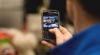 blackberrygenerica