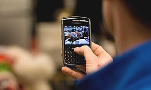 blackberrygenerica