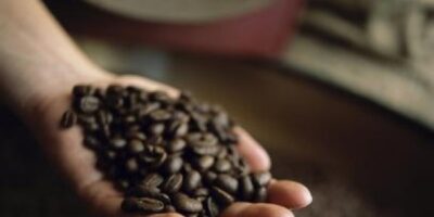 cafe-1