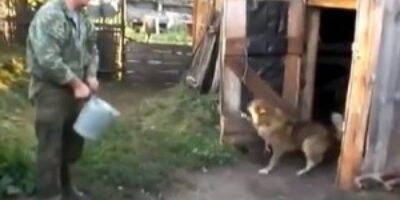 perro-300x2087665653