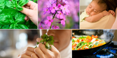 130702113739_smell_and_taste_624x351_thinkstock