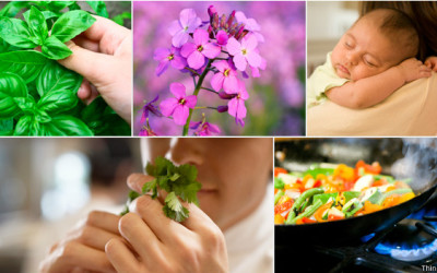 130702113739_smell_and_taste_624x351_thinkstock
