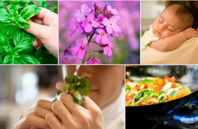 130702113739_smell_and_taste_624x351_thinkstock