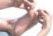 6a00d834518de369e201901e4a2445970b-800widfhmop