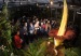 Amorphophallus-tintanum