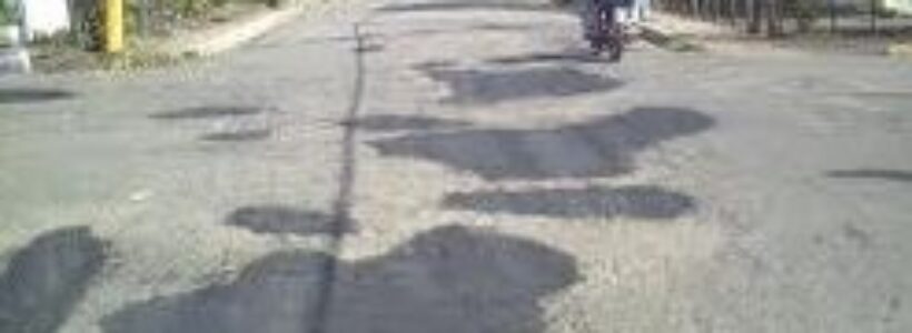 Imagen_las_guaranas